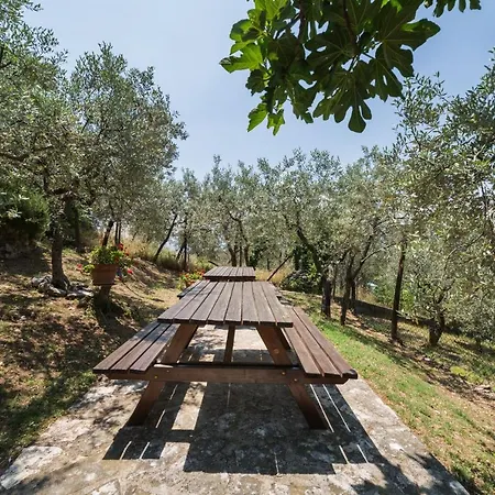 Apartamento Alvavista1