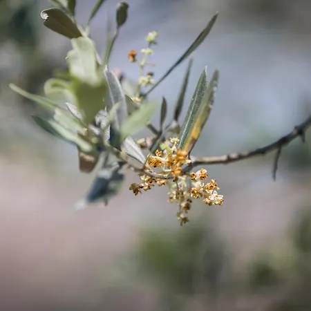 Alvavista1 Apartamento *